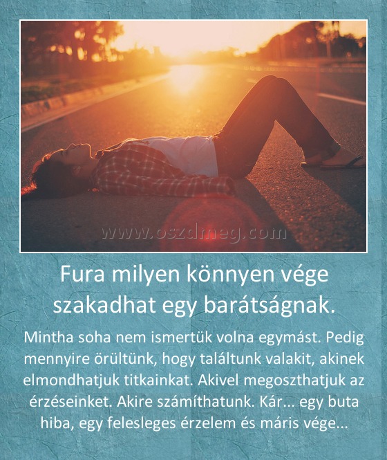 Fura milyen könnyen vége szakadhat egy barátságnak. Fura milyen könnyen vége szakadhat egy barátságnak.
Mintha soha nem ismertük volna egymást. Pedig mennyire örültünk, hogy találtunk valakit, akinek elmondhatjuk titkainkat. Akivel megoszthatjuk az érzéseinket. Akire számíthatunk. Kár... egy buta hiba, egy felesleges érzelem és máris vége...