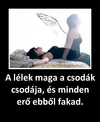 A lélek maga a csodák csodája, és minden erő ebből fakad. A lélek maga a csodák csodája, és minden erő ebből fakad.