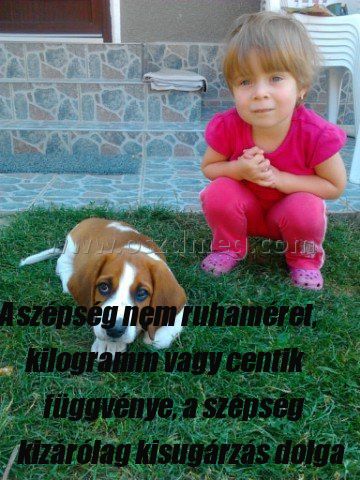 A szépség nem ruhaméret A szépség nem ruhaméret
A szépség nem ruhaméret, kilogramm vagy centik függvénye, a szépség kizárólag kisugárzás dolga