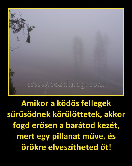 Amikor a ködös fellegek sűrűsödnek körülöttetek, akkor fogd erősen a barátod kezét, mert egy pillanat műve, és örökre elveszítheted őt! Amikor a ködös fellegek sűrűsödnek körülöttetek, akkor fogd erősen a barátod kezét, mert egy pillanat műve, és örökre elveszítheted őt!