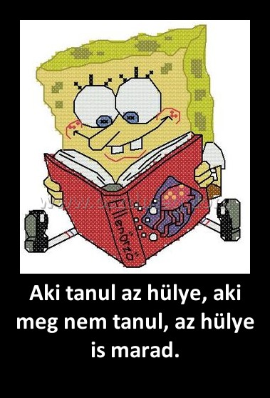 Aki tanul az hülye, aki meg nem tanul, az hülye is marad. Aki tanul az hülye, aki meg nem tanul, az hülye is marad.